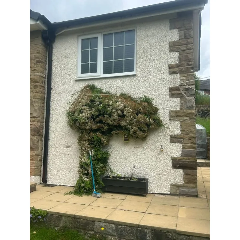 Hall, stairs and landing repaint